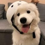 Javier Pérez avatar